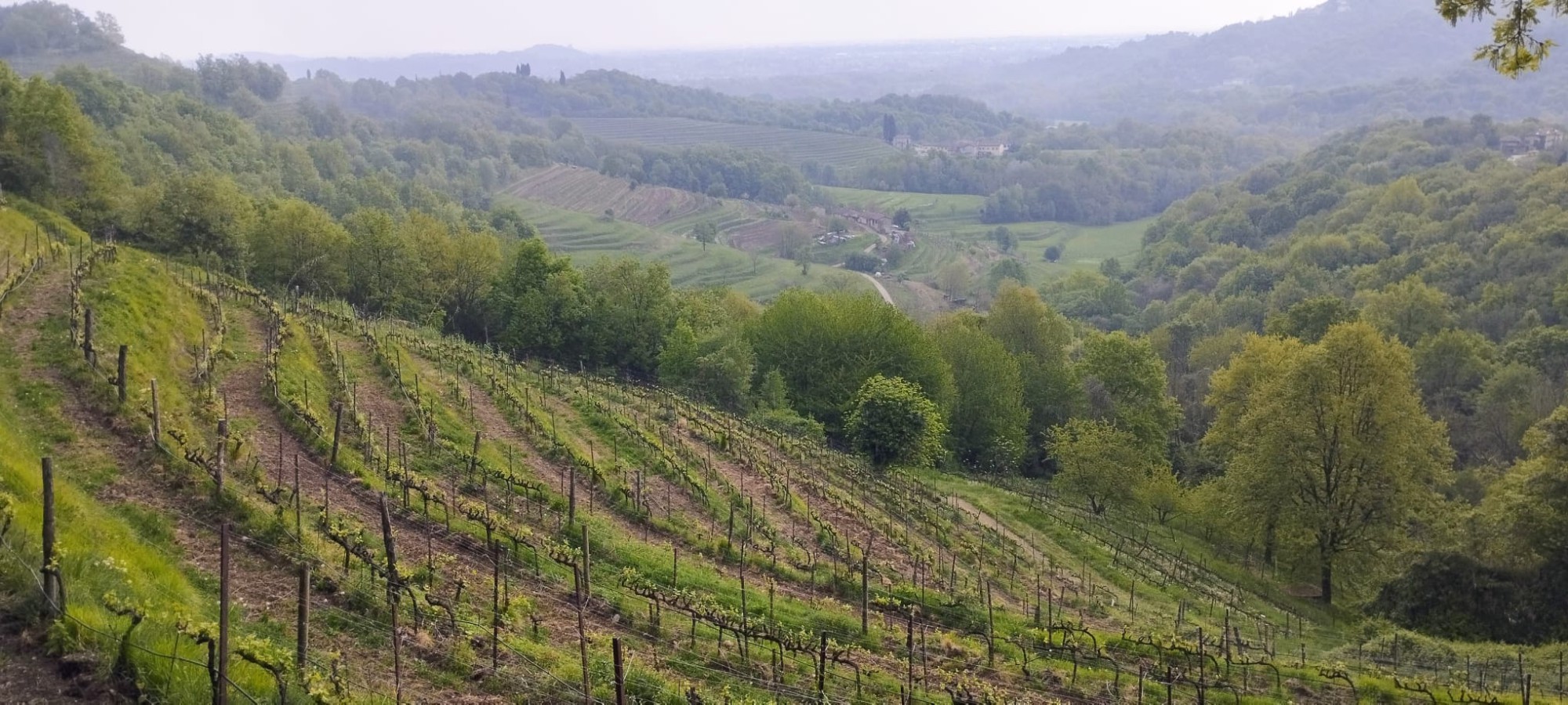 WhatsApp Image 2026-04-16 at 21.48.56  3 .