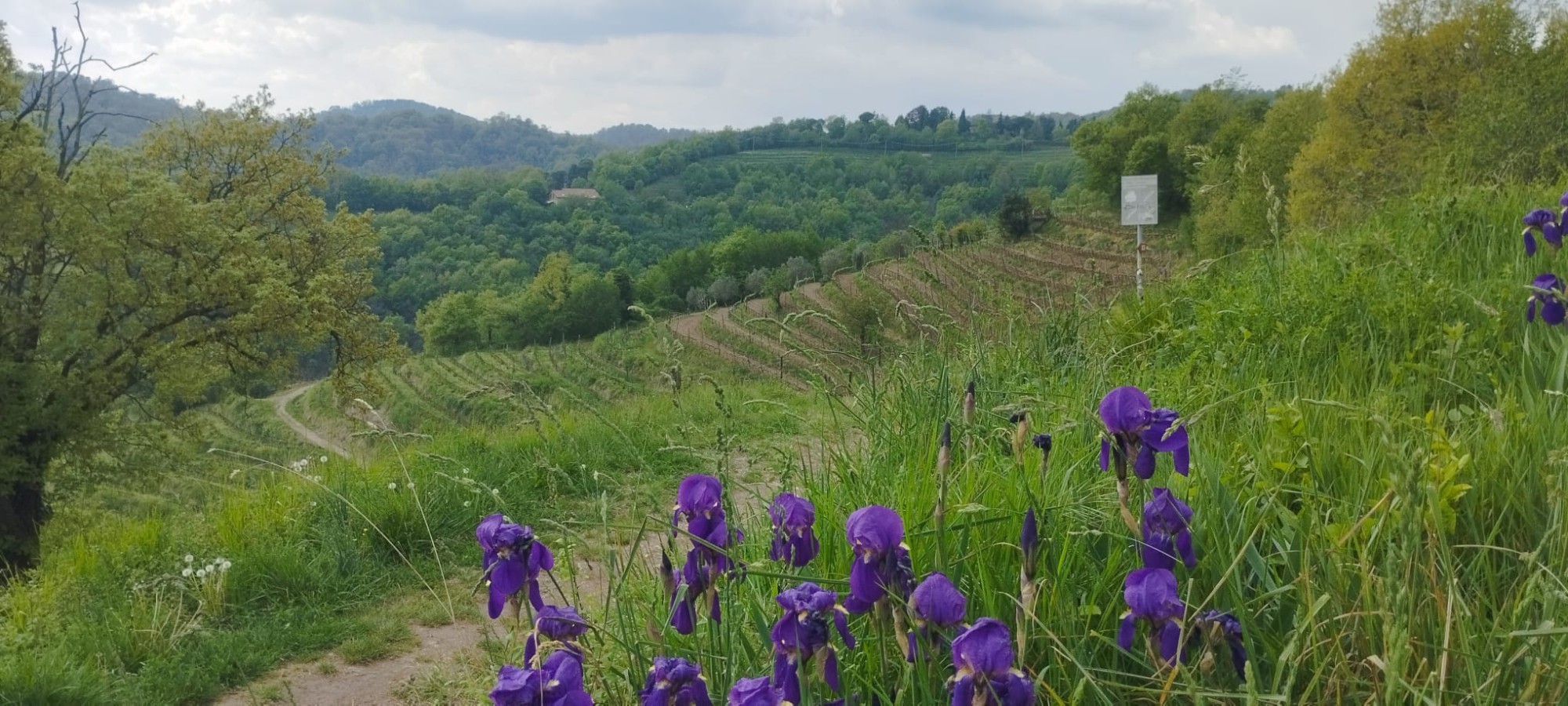 WhatsApp_Image_2026-04-16_at_21.48.56__4_.jpeg (458 KB)