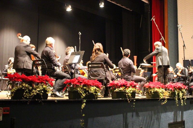 IMG_5876.JPG (117 KB)