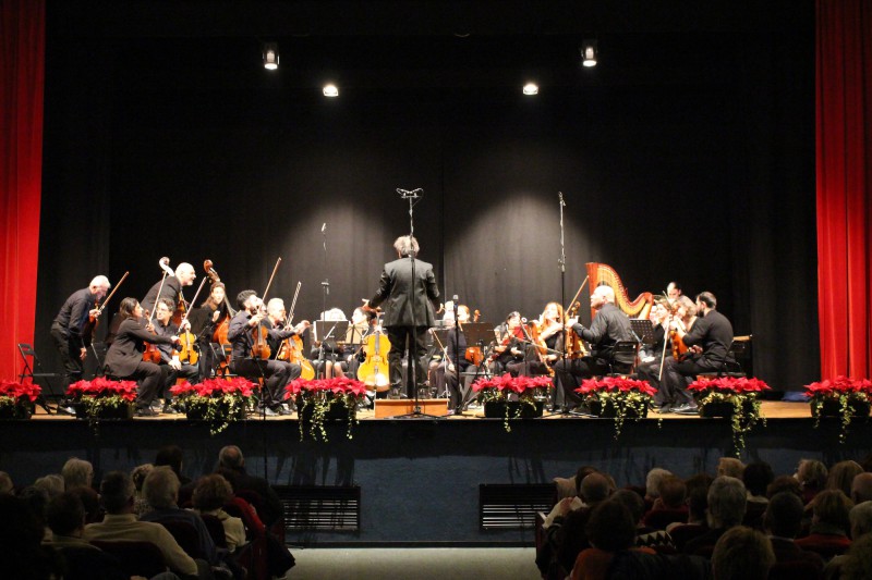 IMG_5932.JPG (93 KB)