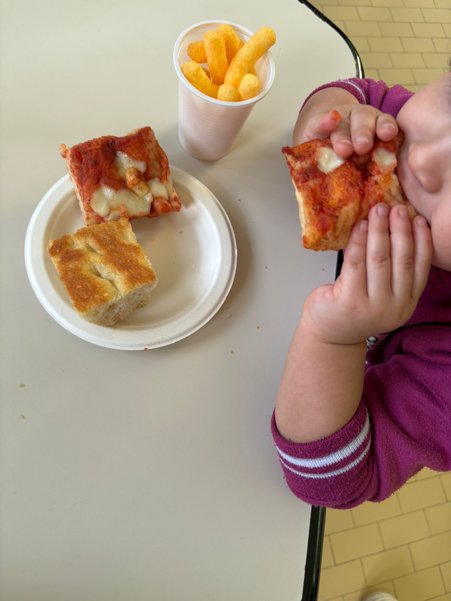 WhatsApp Image 2026-04-19 at 10.05.15  11 .