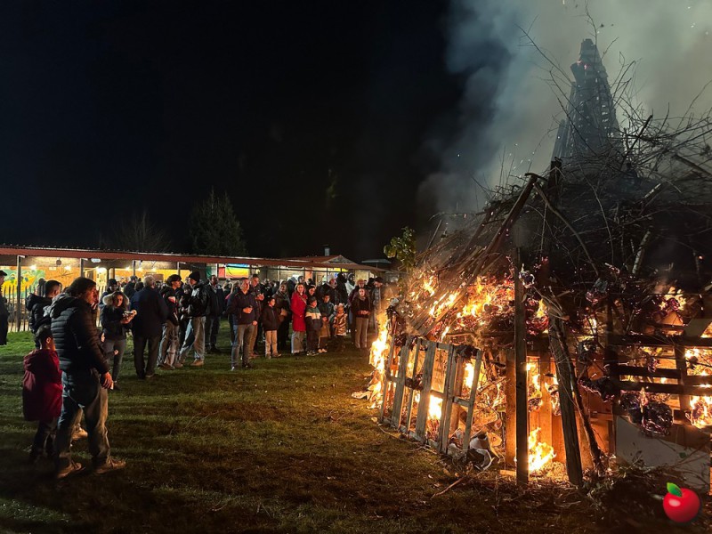 IMG_7444.jpg (126 KB)