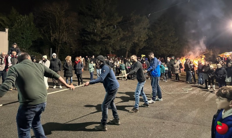 IMG_7461.jpg (114 KB)