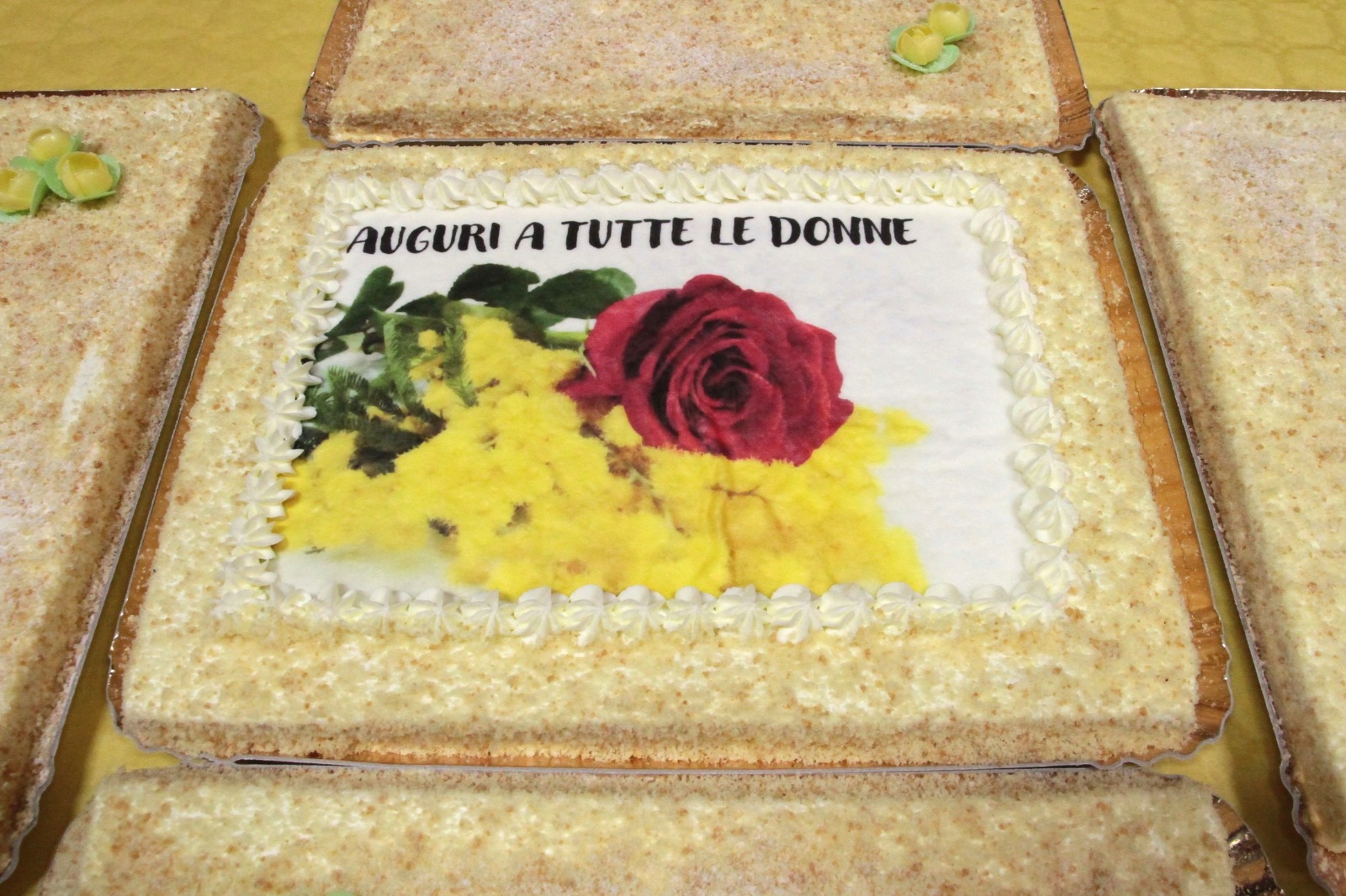 WhatsApp Image 2026-03-07 at 10.40.07  1 .