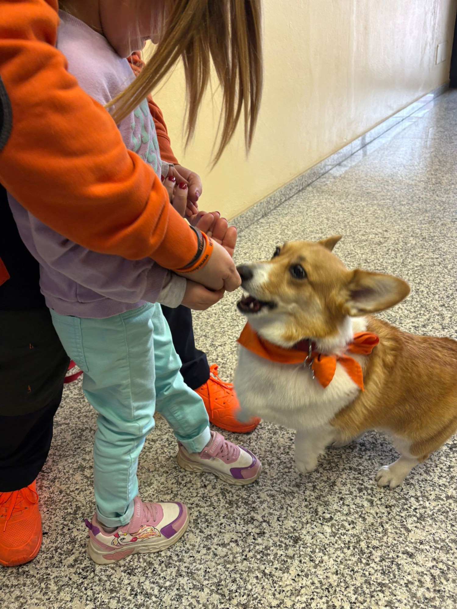 WhatsApp Image 2026-03-15 at 22.46.39  2 .