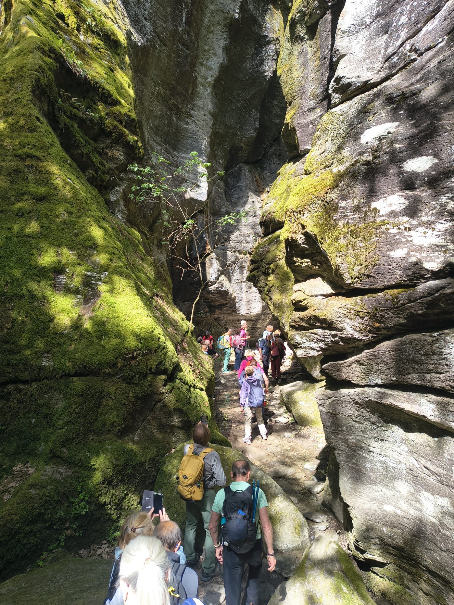 WhatsApp_Image_2026-04-27_at_13.16.48.jpeg (1.08 MB)