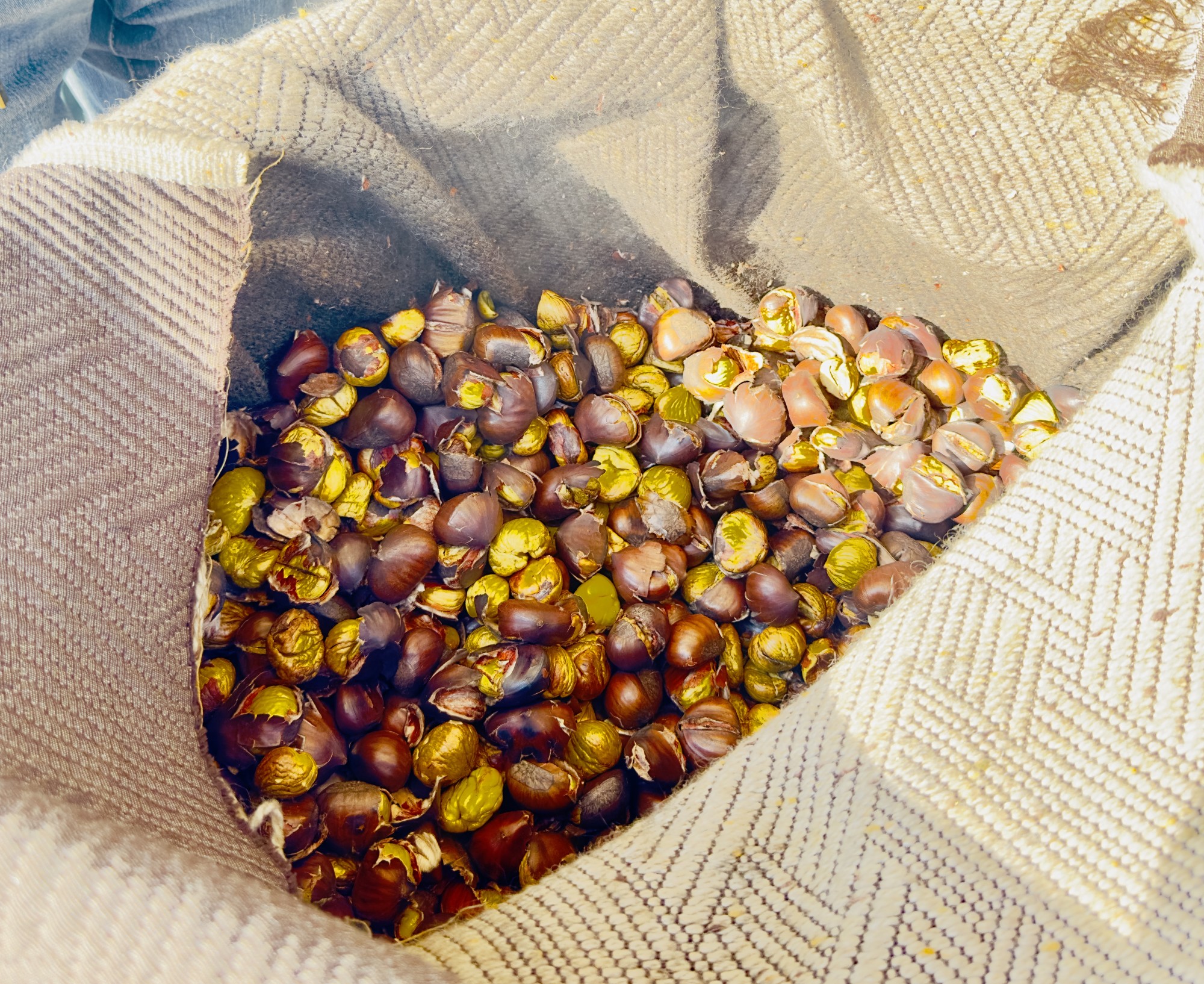 dolzagocastagne alpini  2 