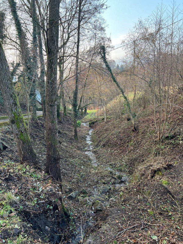 WhatsApp Image 2026-02-07 at 12.37.07  1 .