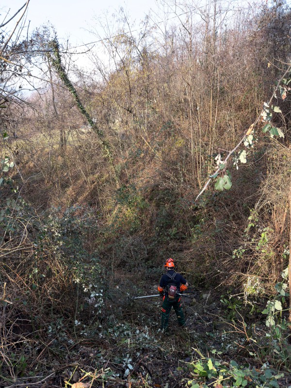 WhatsApp Image 2026-02-07 at 12.37.07  2 .