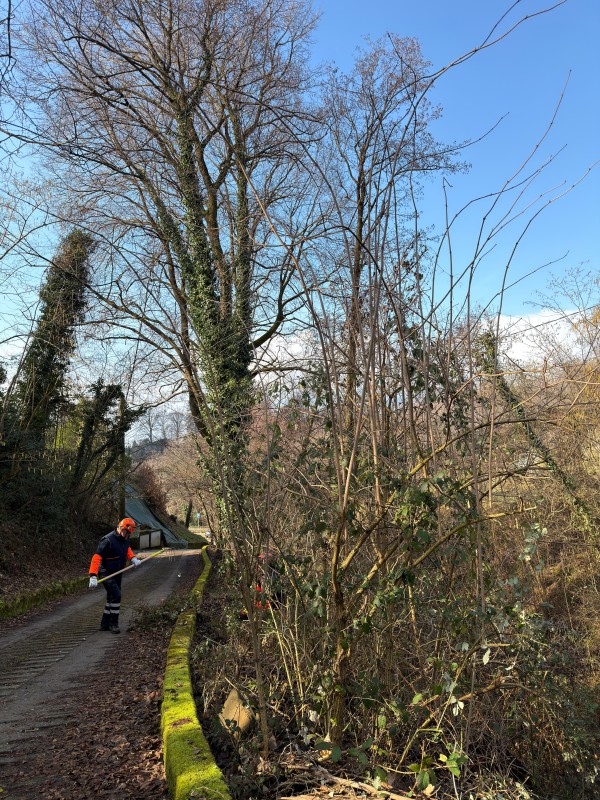 WhatsApp Image 2026-02-07 at 12.37.07  4 .