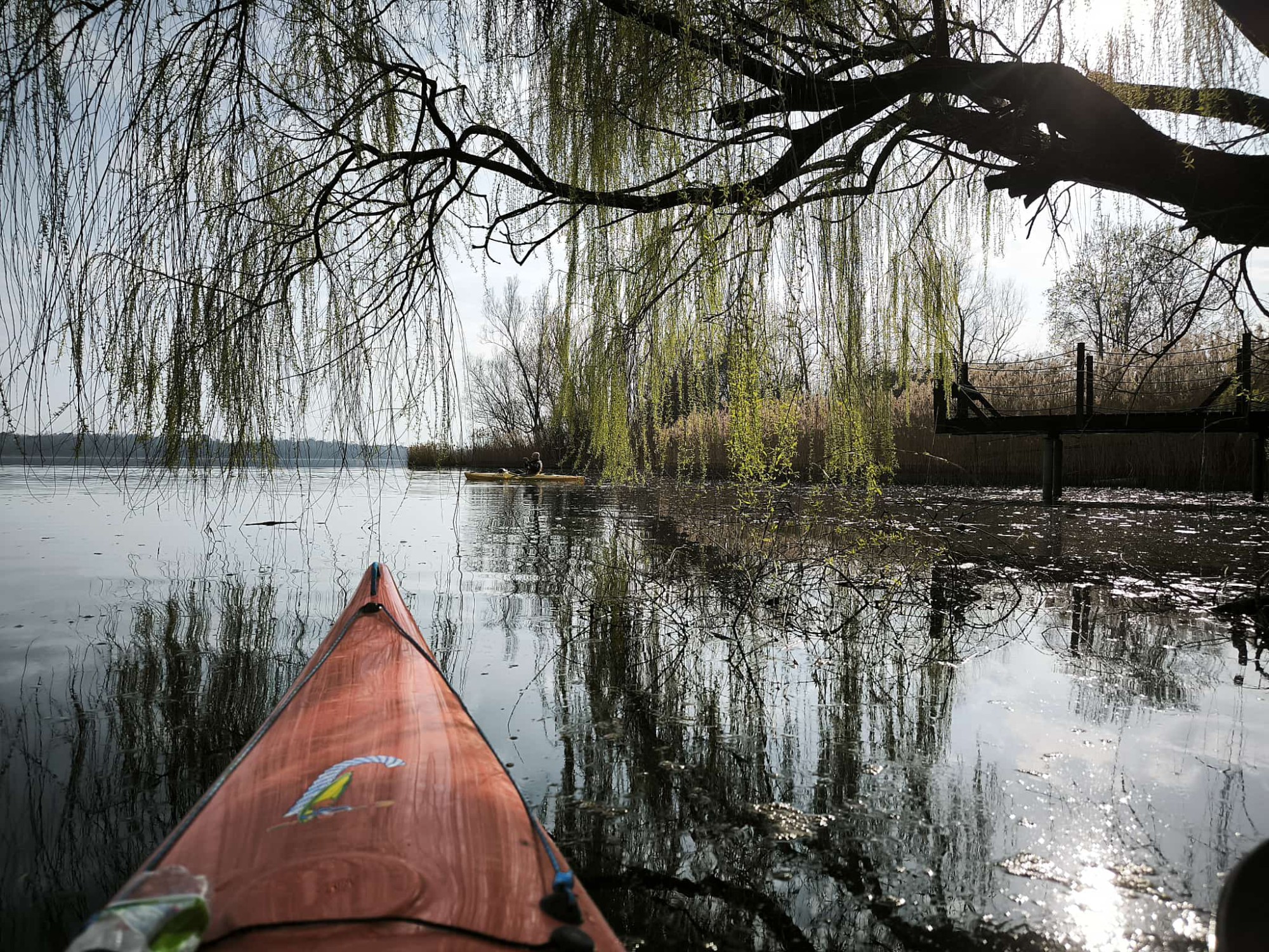 WhatsApp_Image_2026-03-10_at_13.53.10.jpeg (1.09 MB)