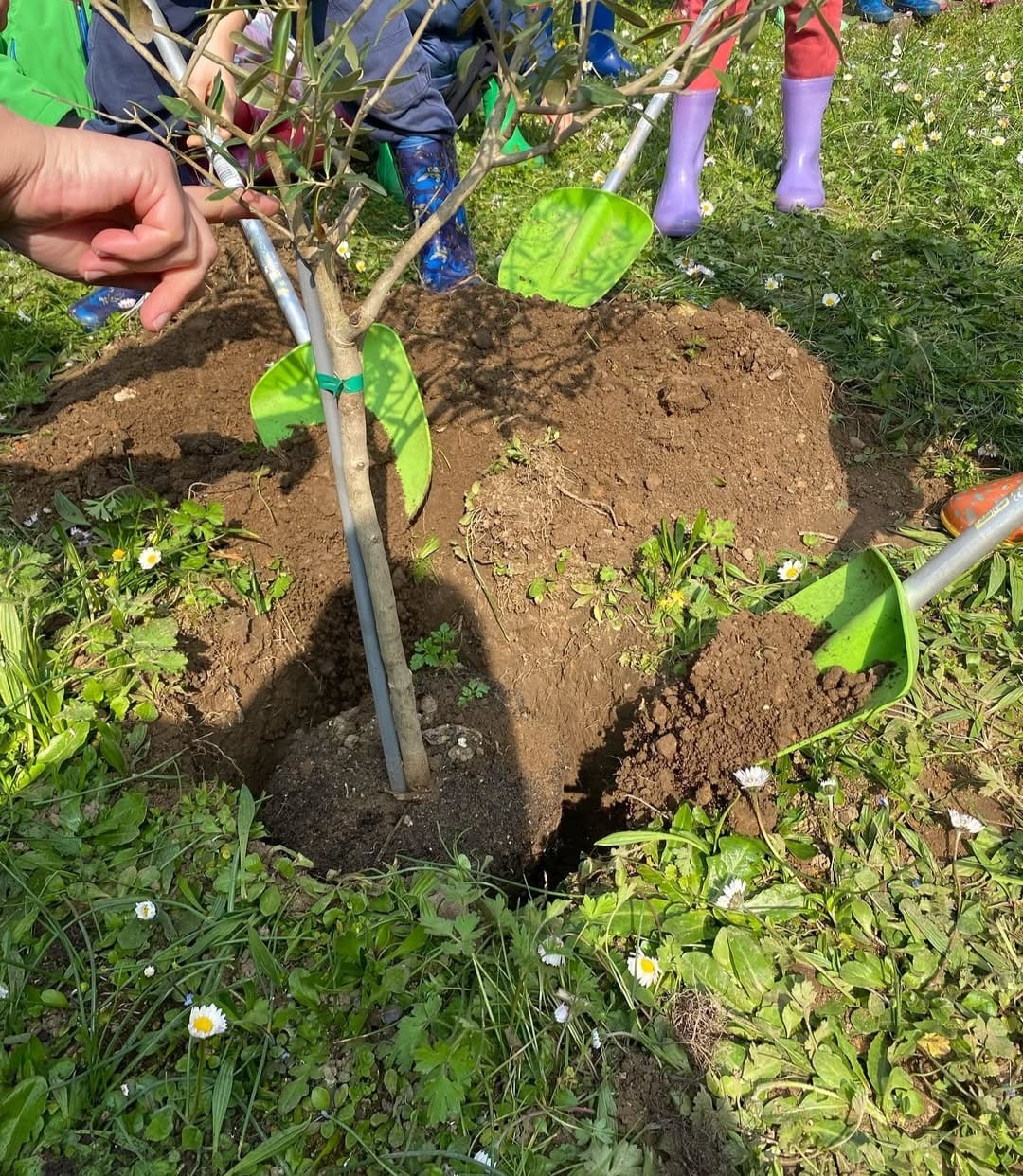 WhatsApp Image 2026-04-02 at 08.00.04 1 .