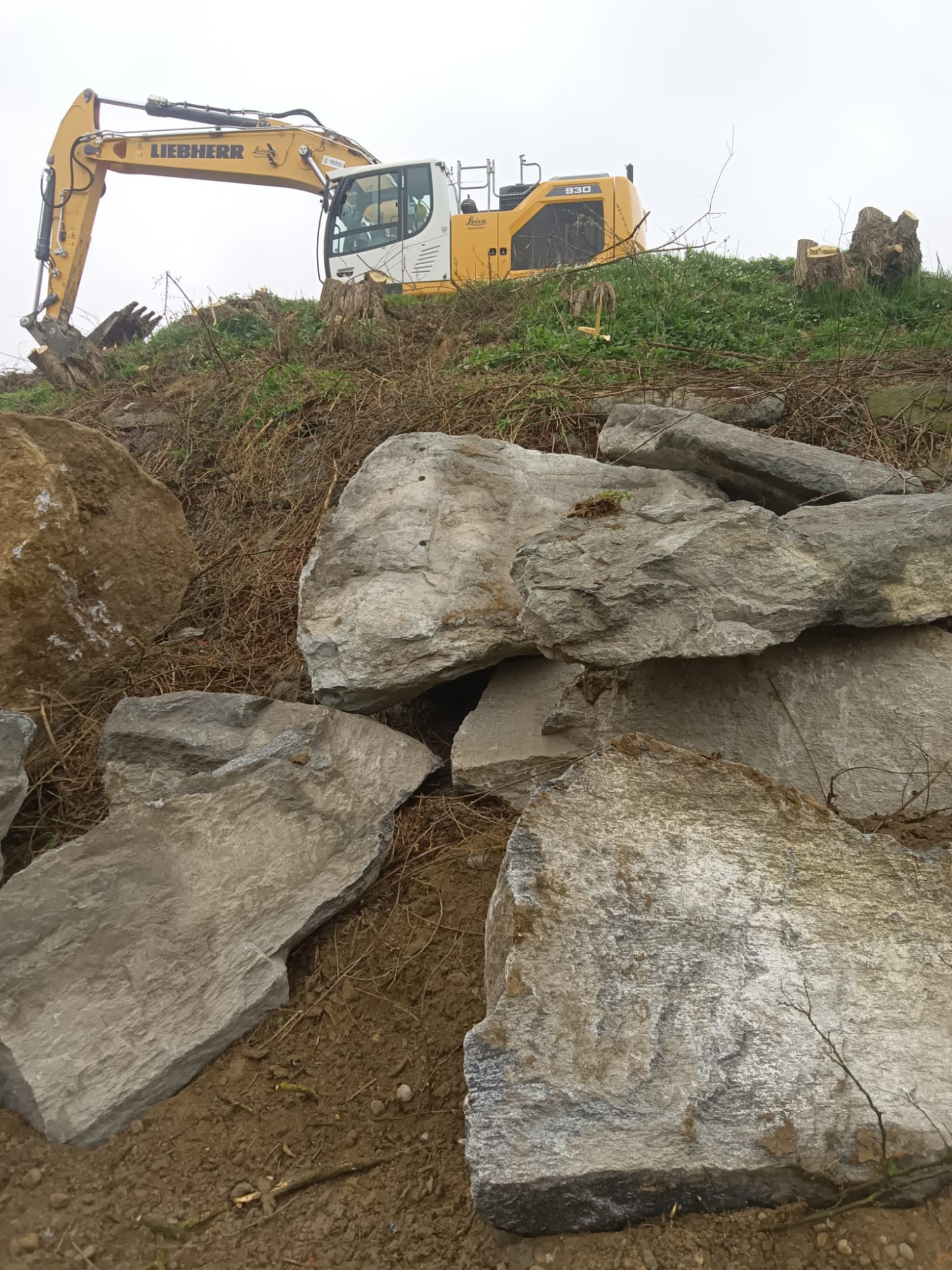 WhatsApp Image 2026-03-18 at 10.29.20  2 .