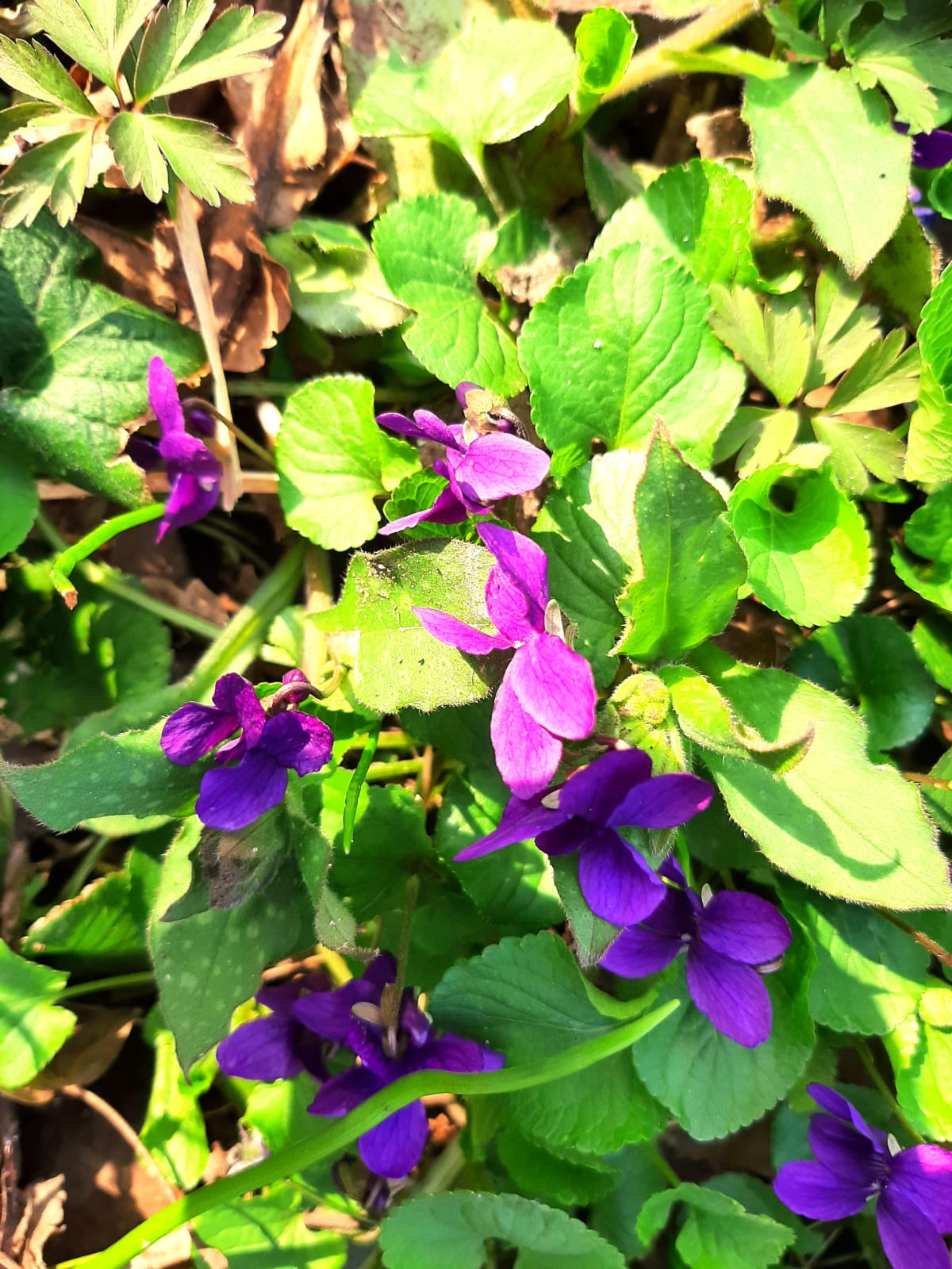 WhatsApp Image 2026-03-03 at 20.27.11 1 .