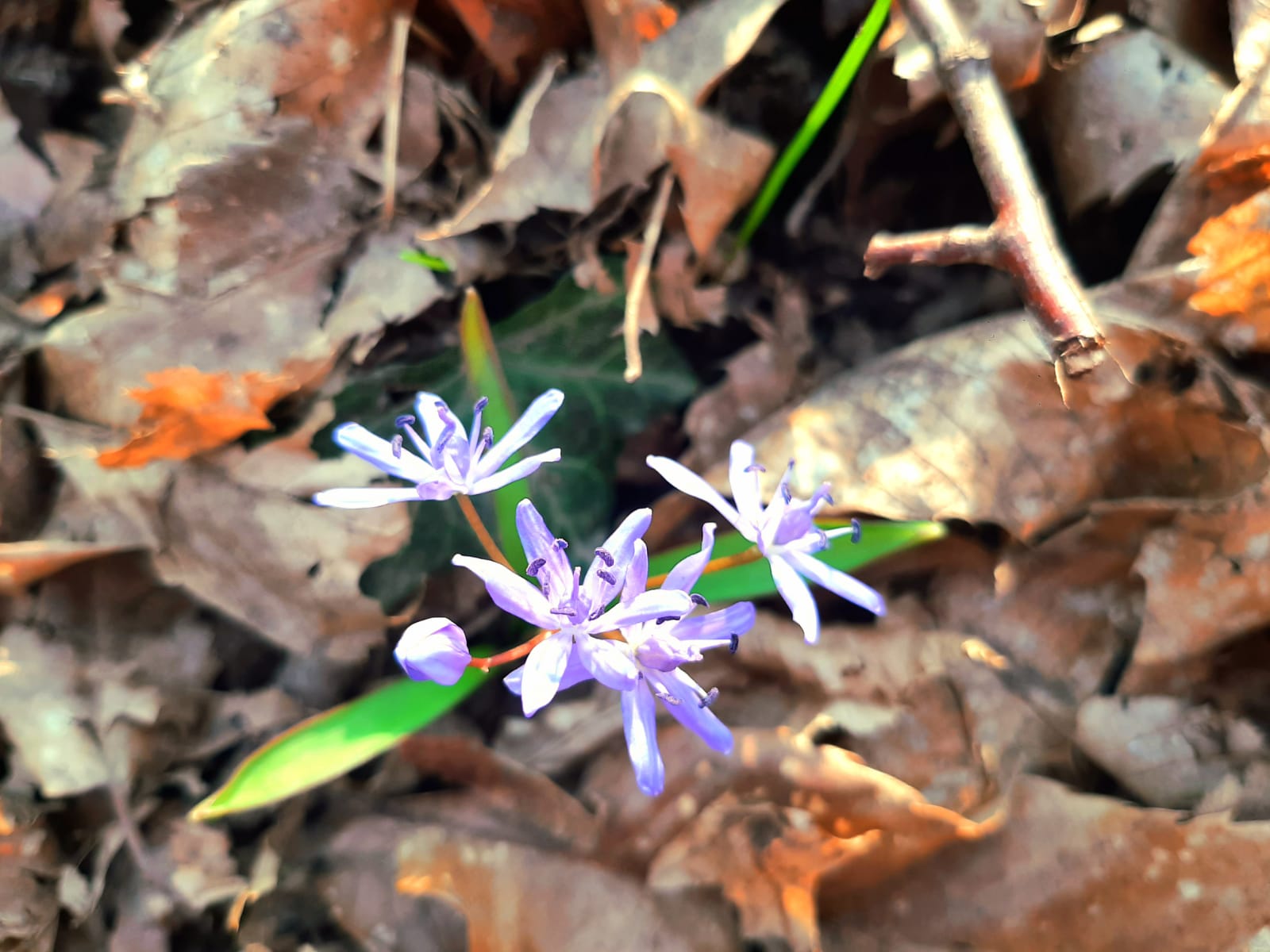 WhatsApp Image 2026-03-03 at 20.27.11 2 .