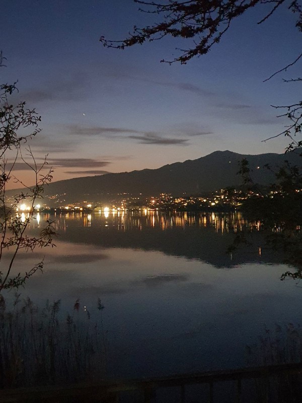 WhatsApp Image 2026-04-10 at 13.16.52  1 .