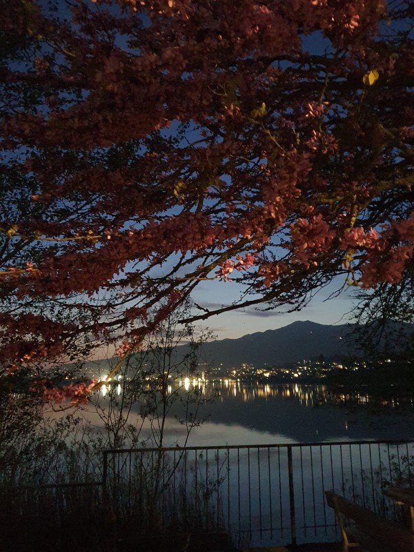 WhatsApp Image 2026-04-10 at 13.16.52  2 .