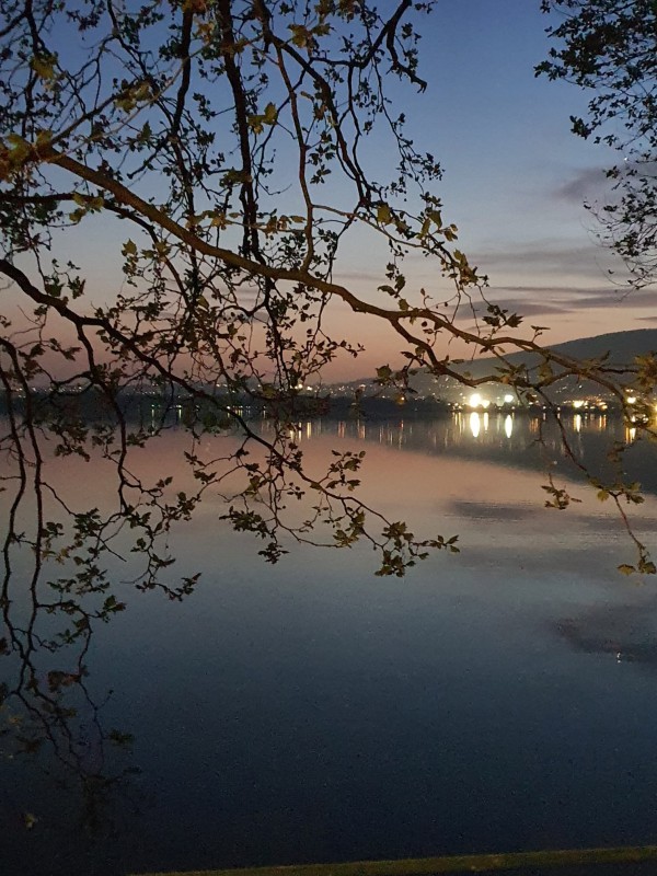 WhatsApp Image 2026-04-10 at 13.16.52  3 .