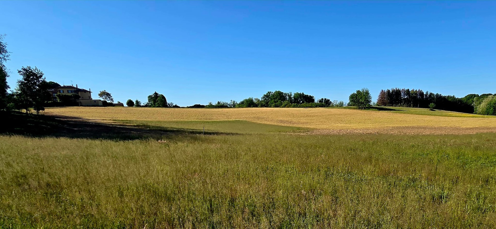 WhatsApp Image 2026-04-25 at 14.57.15.