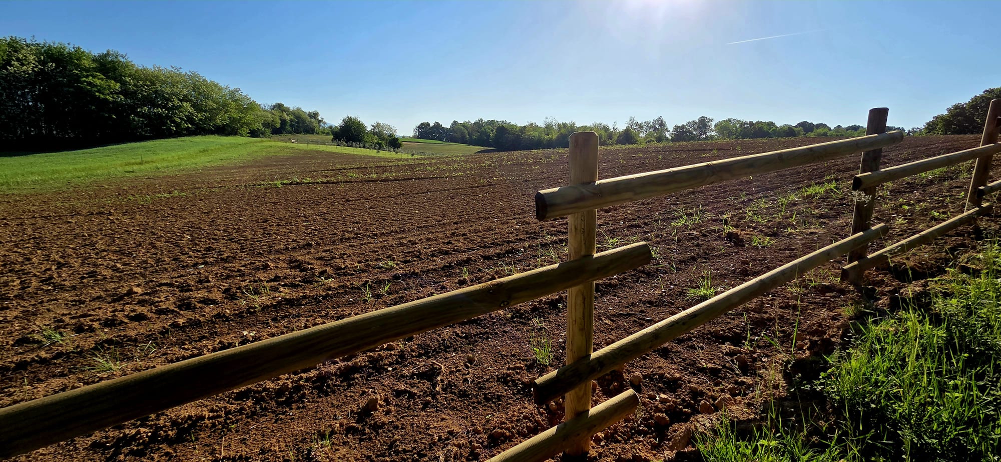 WhatsApp Image 2026-04-25 at 14.57.16.