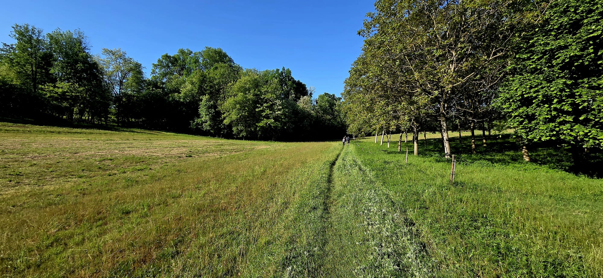 WhatsApp Image 2026-04-25 at 14.57.16  1 .