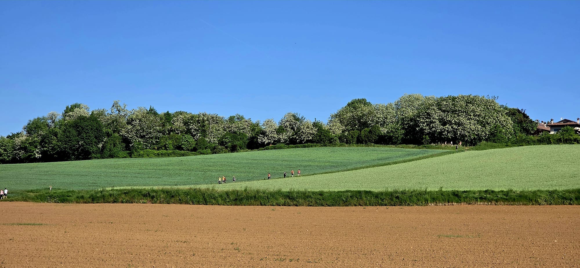 WhatsApp Image 2026-04-25 at 14.57.17.