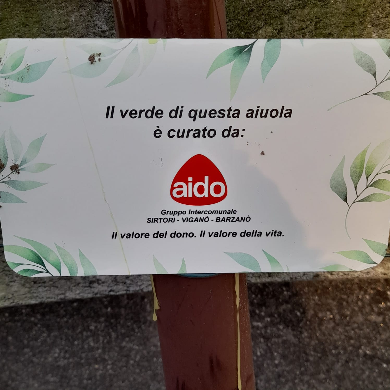 WhatsApp Image 2026-03-24 at 19.32.56.