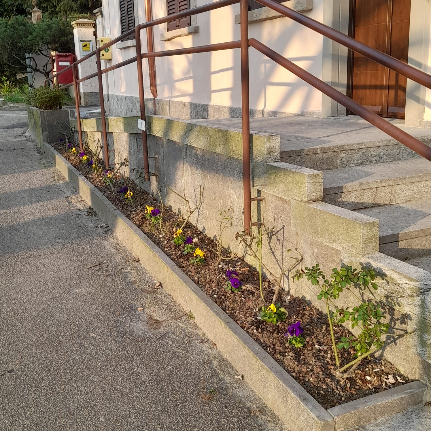 WhatsApp Image 2026-03-24 at 19.32.57.