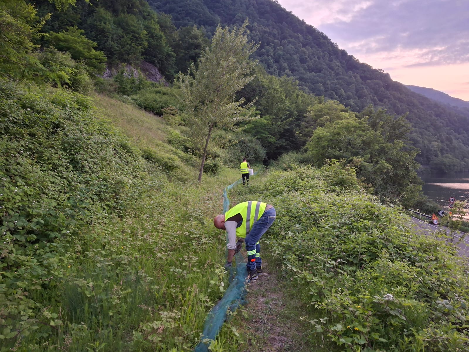 campagna tutela anfibi 2026  10 