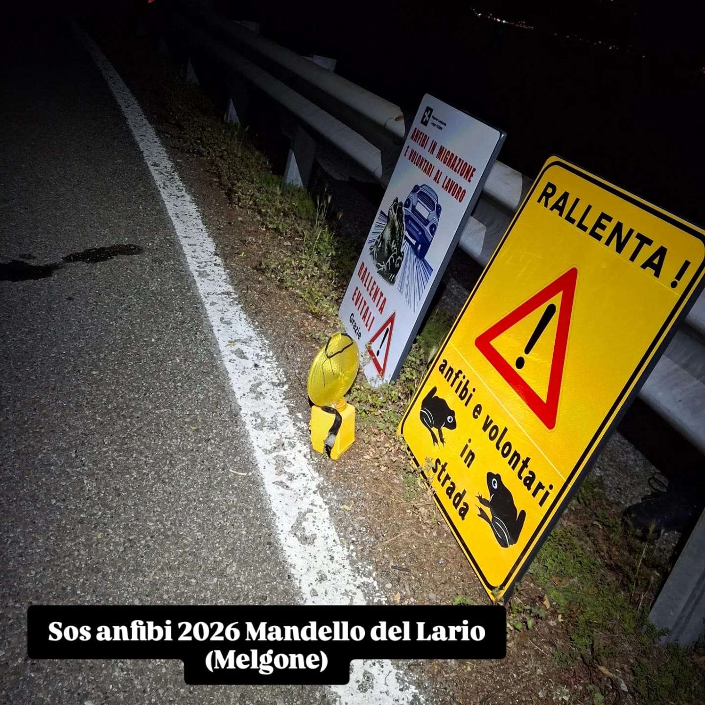 campagna tutela anfibi 2026  12 