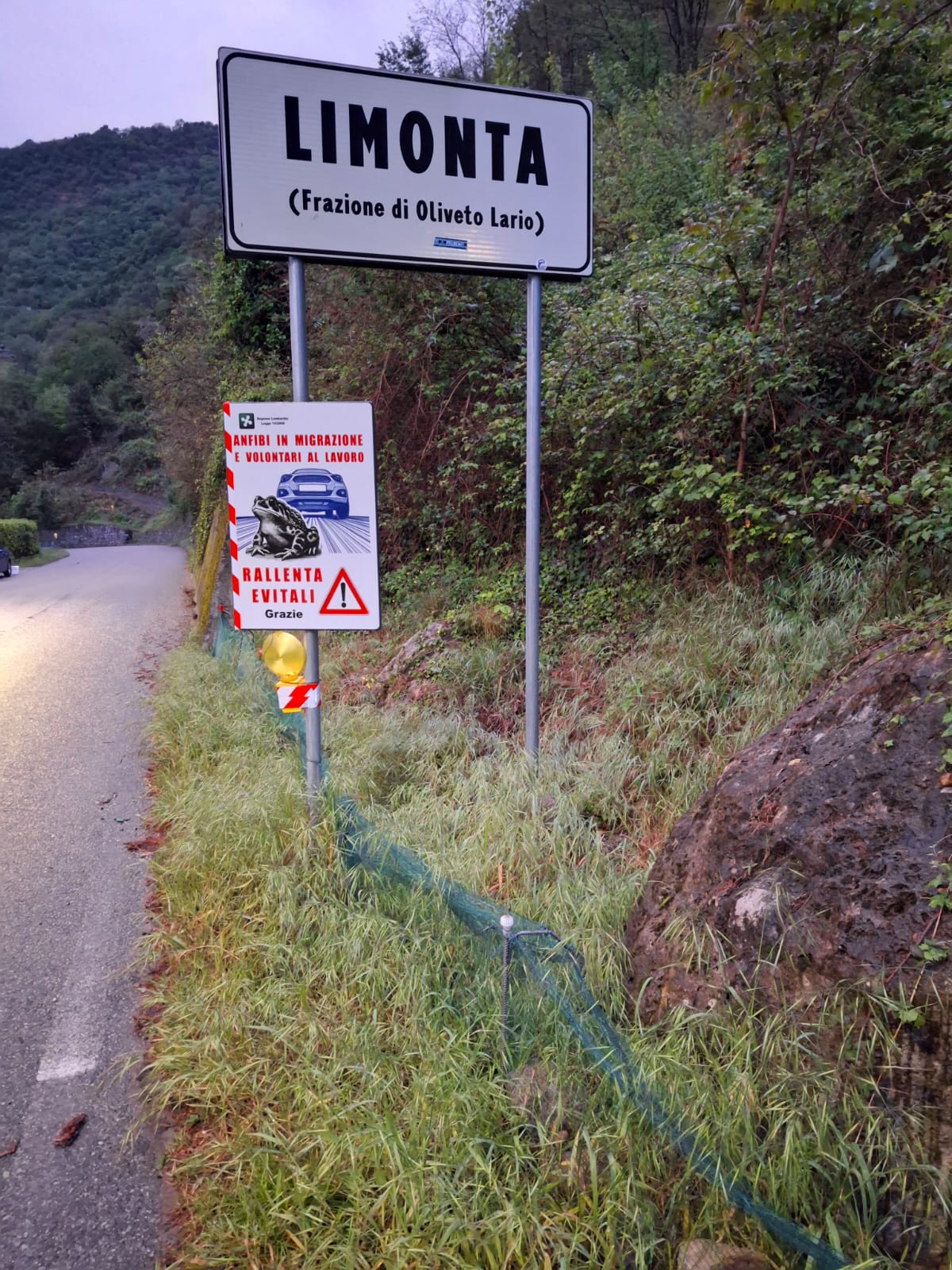 campagna tutela anfibi 2026  13 
