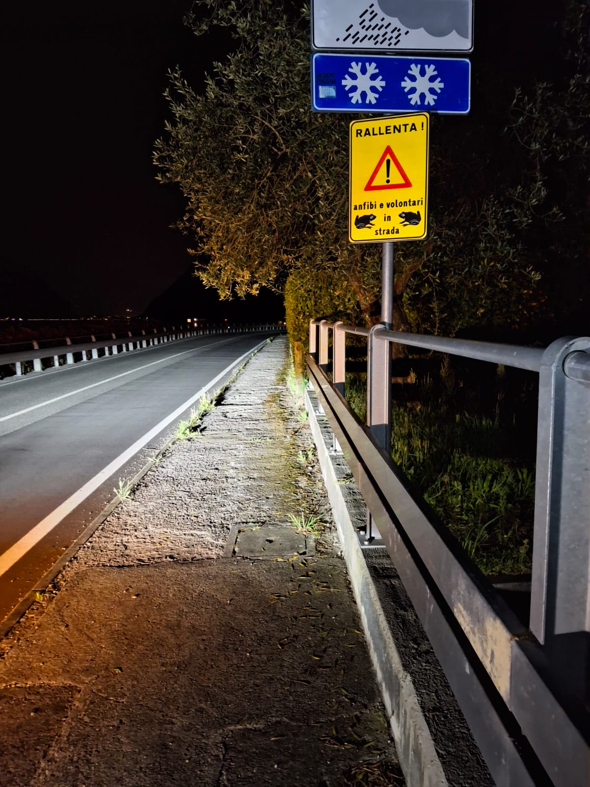 campagna tutela anfibi 2026  14 