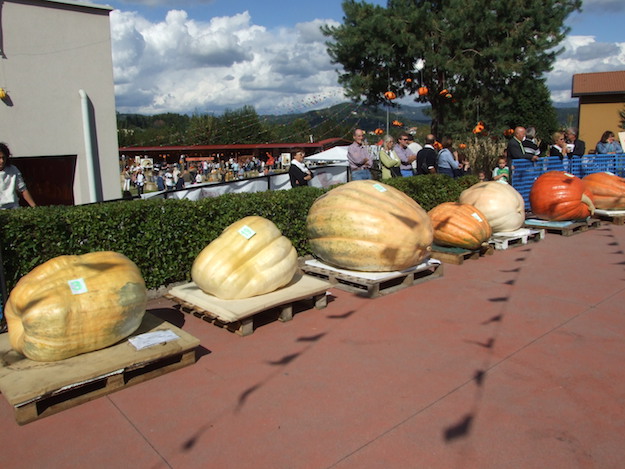 g casatenovo festazucca1